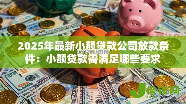 2025年最新小额贷款公司放款条件:小额贷款需满足哪些要求 2025年最新小额贷款公司放款条件:小额贷款需满足哪些要求