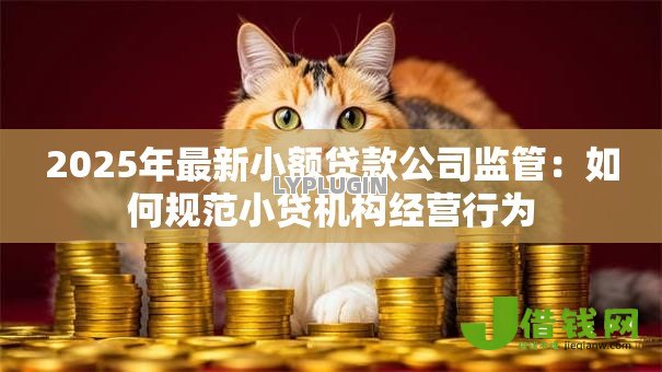 2025年最新小额贷款公司监管:如何规范小贷机构经营行为 2025年最新小额贷款公司监管:如何规范小贷机构经营行为