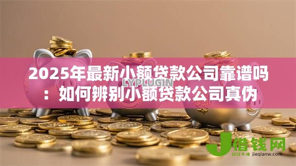 2025年最新小额贷款公司靠谱吗:如何辨别小额贷款公司真伪 2025年最新小额贷款公司靠谱吗:如何辨别小额贷款公司真伪