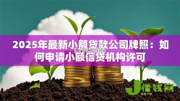 2025年最新小额贷款公司牌照:如何申请小额信贷机构许可 2025年最新小额贷款公司牌照:如何申请小额信贷机构许可