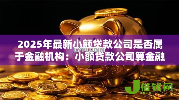 2025年最新小额贷款公司是否属于金融机构：小额贷款公司算金融机构吗