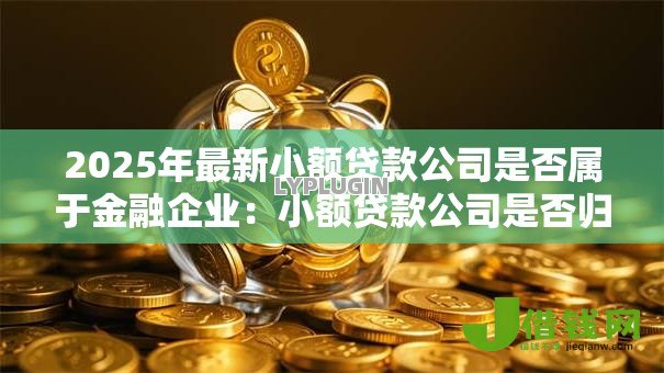 2025年最新小额贷款公司是否属于金融企业:小额贷款公司是否归类为金融机构 2025年最新小额贷款公司是否属于金融企业:小额贷款公司是否归类为金融机构