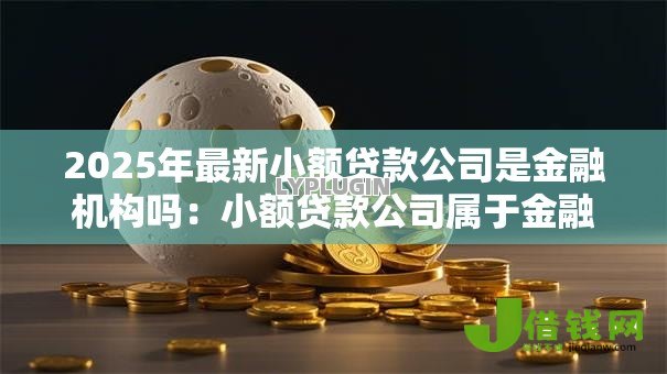 2025年最新小额贷款公司是金融机构吗:小额贷款公司属于金融行业吗 2025年最新小额贷款公司是金融机构吗:小额贷款公司属于金融行业吗