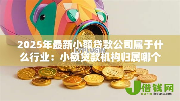 2025年最新小额贷款公司属于什么行业：小额贷款机构归属哪个产业类别