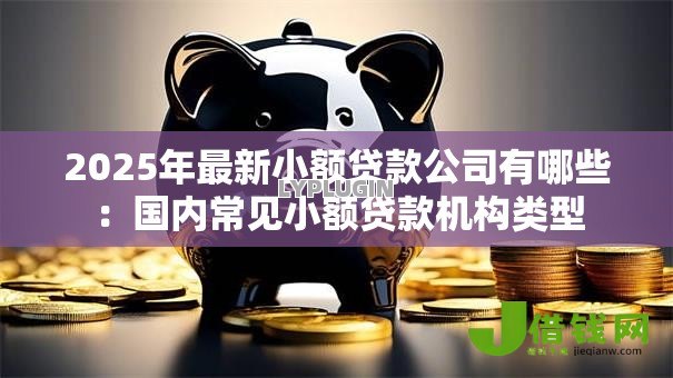 2025年最新小额贷款公司有哪些:国内常见小额贷款机构类型 2025年最新小额贷款公司有哪些:国内常见小额贷款机构类型