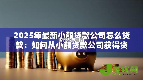 2025年最新小额贷款公司怎么贷款:如何从小额贷款公司获得贷款 2025年最新小额贷款公司怎么贷款:如何从小额贷款公司获得贷款
