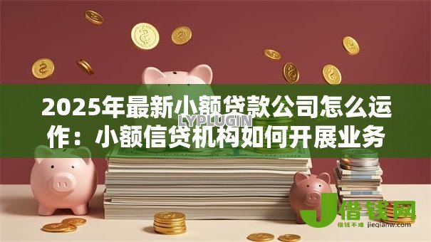 2025年最新小额贷款公司怎么运作:小额信贷机构如何开展业务 2025年最新小额贷款公司怎么运作:小额信贷机构如何开展业务