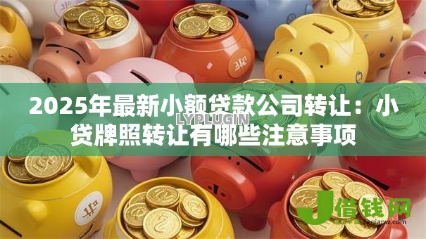 2025年最新小额贷款公司转让:小贷牌照转让有哪些注意事项 2025年最新小额贷款公司转让:小贷牌照转让有哪些注意事项