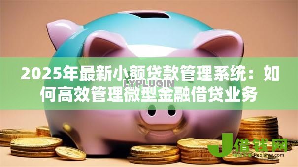 2025年最新小额贷款管理系统：如何高效管理微型金融借贷业务