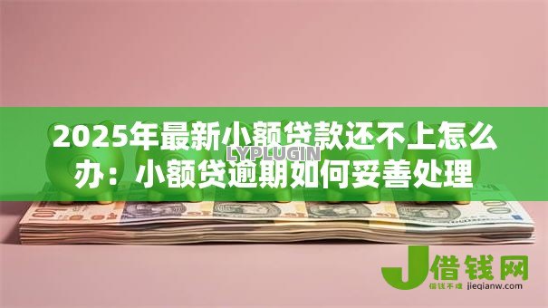 2025年最新小额贷款还不上怎么办:小额贷逾期如何妥善处理 2025年最新小额贷款还不上怎么办:小额贷逾期如何妥善处理
