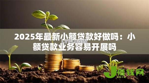 2025年最新小额贷款好做吗:小额贷款业务容易开展吗 2025年最新小额贷款好做吗:小额贷款业务容易开展吗