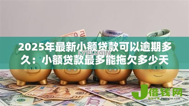 2025年最新小额贷款可以逾期多久：小额贷款最多能拖欠多少天