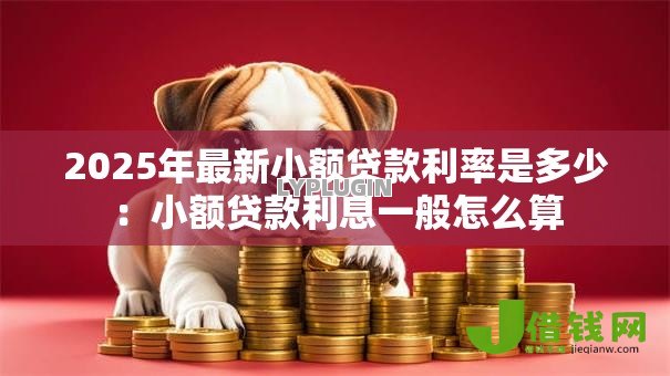 2025年最新小额贷款利率是多少:小额贷款利息一般怎么算 2025年最新小额贷款利率是多少:小额贷款利息一般怎么算