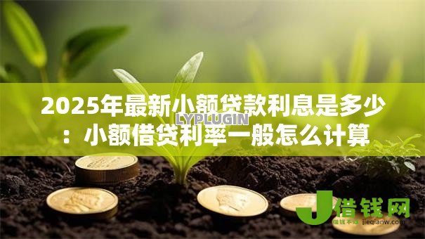 2025年最新小额贷款利息是多少:小额借贷利率一般怎么计算 2025年最新小额贷款利息是多少:小额借贷利率一般怎么计算