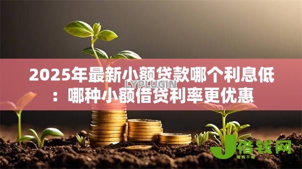 2025年最新小额贷款哪个利息低:哪种小额借贷利率更优惠 2025年最新小额贷款哪个利息低:哪种小额借贷利率更优惠