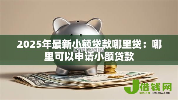 2025年最新小额贷款哪里贷：哪里可以申请小额贷款
