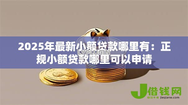 2025年最新小额贷款哪里有：正规小额贷款哪里可以申请