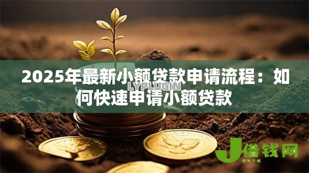 2025年最新小额贷款申请流程:如何快速申请小额贷款 2025年最新小额贷款申请流程:如何快速申请小额贷款