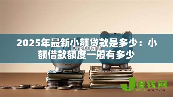 2025年最新小额贷款是多少：小额借款额度一般有多少