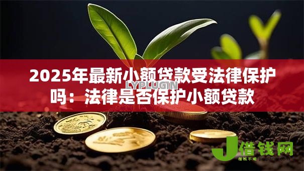 2025年最新小额贷款受法律保护吗:法律是否保护小额贷款 2025年最新小额贷款受法律保护吗:法律是否保护小额贷款