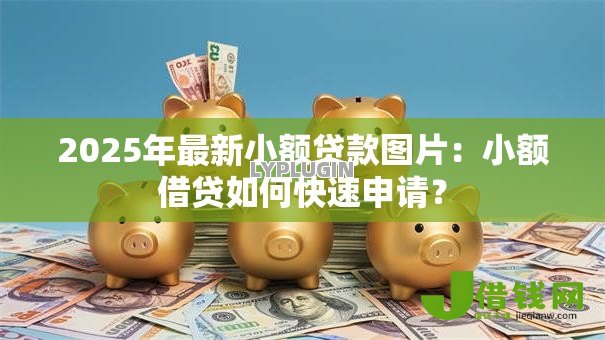 2025年最新小额贷款图片：小额借贷如何快速申请？