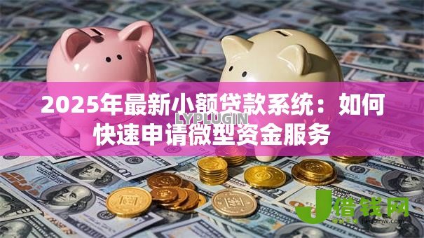2025年最新小额贷款系统:如何快速申请微型资金服务 2025年最新小额贷款系统:如何快速申请微型资金服务