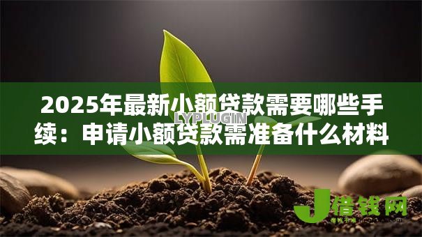 2025年最新小额贷款需要哪些手续：申请小额贷款需准备什么材料