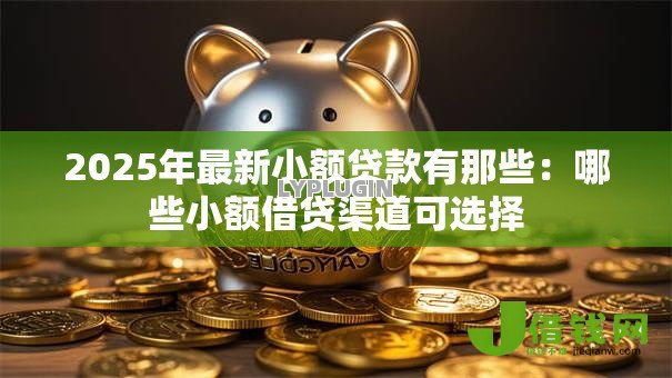 2025年最新小额贷款有那些：哪些小额借贷渠道可选择