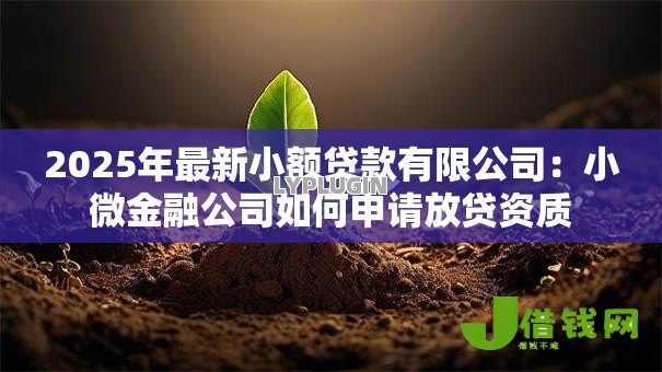 2025年最新小额贷款有限公司:小微金融公司如何申请放贷资质 2025年最新小额贷款有限公司:小微金融公司如何申请放贷资质