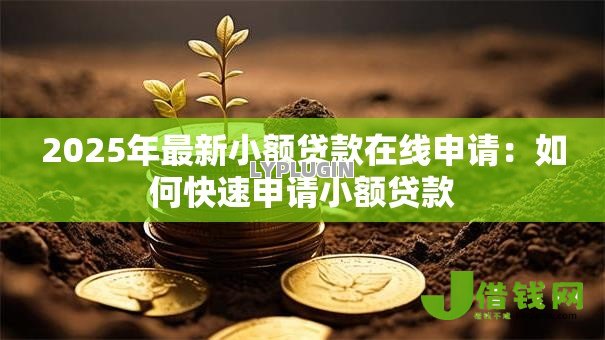 2025年最新小额贷款在线申请:如何快速申请小额贷款 2025年最新小额贷款在线申请:如何快速申请小额贷款