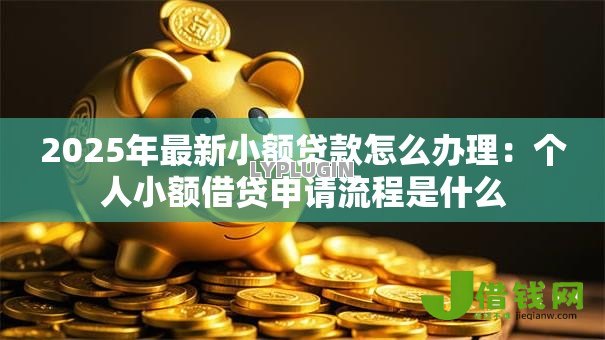 2025年最新小额贷款怎么办理:个人小额借贷申请流程是什么 2025年最新小额贷款怎么办理:个人小额借贷申请流程是什么