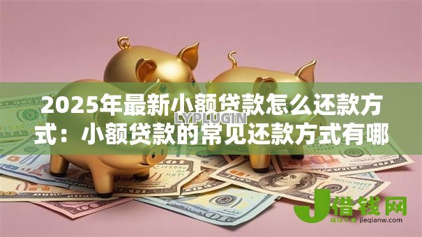 2025年最新小额贷款怎么还款方式:小额贷款的常见还款方式有哪些 2025年最新小额贷款怎么还款方式:小额贷款的常见还款方式有哪些