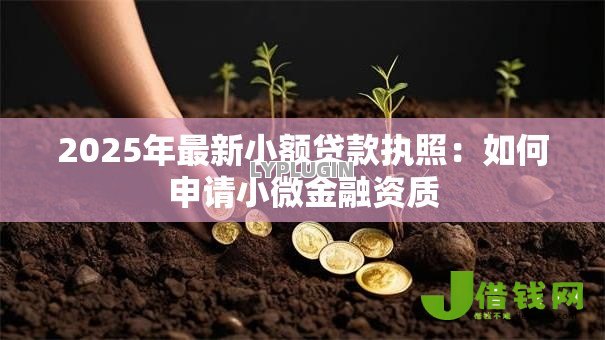 2025年最新小额贷款执照:如何申请小微金融资质 2025年最新小额贷款执照:如何申请小微金融资质