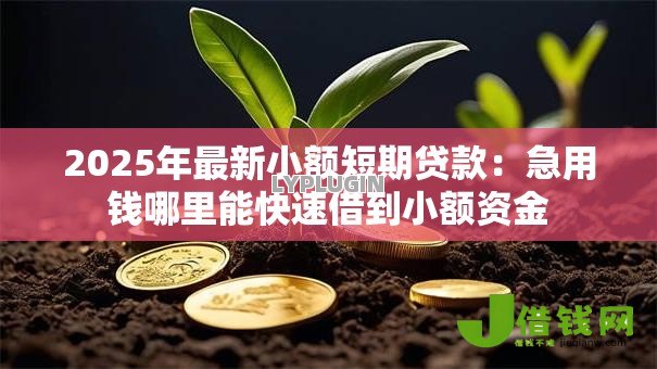 2025年最新小额短期贷款:急用钱哪里能快速借到小额资金 2025年最新小额短期贷款:急用钱哪里能快速借到小额资金