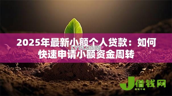 2025年最新小额个人贷款:如何快速申请小额资金周转 2025年最新小额个人贷款:如何快速申请小额资金周转