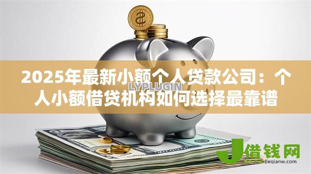 2025年最新小额个人贷款公司：个人小额借贷机构如何选择最靠谱