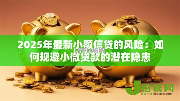 2025年最新小额信贷的风险:如何规避小微贷款的潜在隐患 2025年最新小额信贷的风险:如何规避小微贷款的潜在隐患