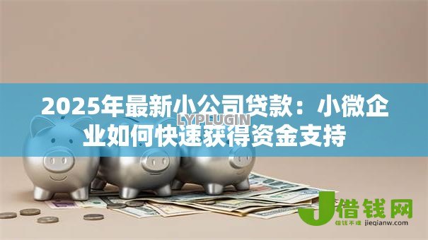 2025年最新小公司贷款：小微企业如何快速获得资金支持