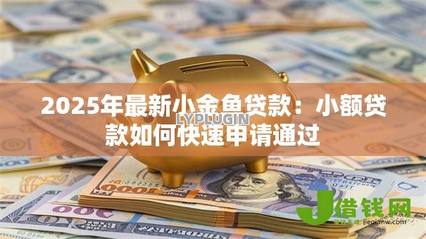 2025年最新小金鱼贷款：小额贷款如何快速申请通过
