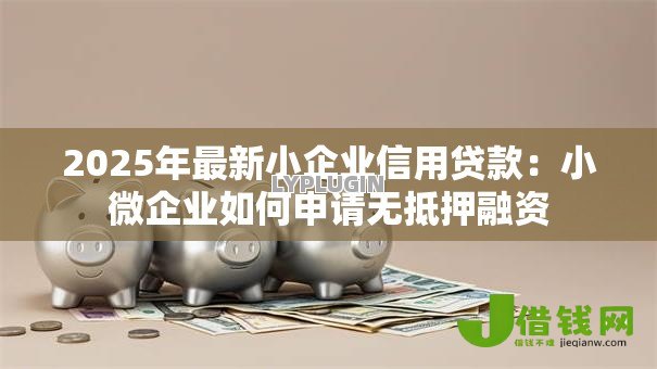 2025年最新小企业信用贷款:小微企业如何申请无抵押融资 2025年最新小企业信用贷款:小微企业如何申请无抵押融资