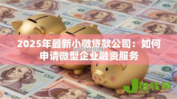 2025年最新小微贷款公司:如何申请微型企业融资服务 2025年最新小微贷款公司:如何申请微型企业融资服务