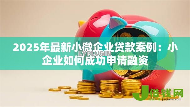 2025年最新小微企业贷款案例：小企业如何成功申请融资