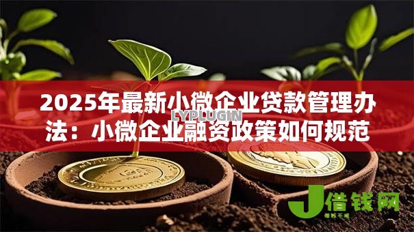 2025年最新小微企业贷款管理办法:小微企业融资政策如何规范管理 2025年最新小微企业贷款管理办法:小微企业融资政策如何规范管理