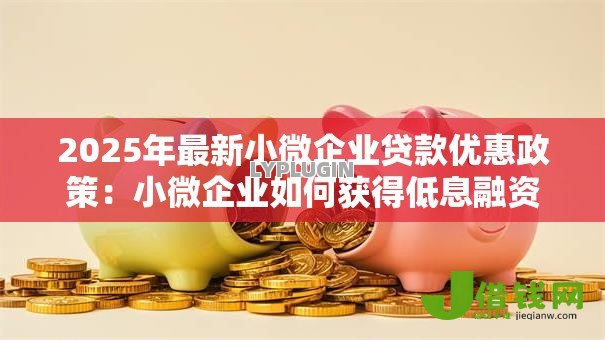 2025年最新小微企业贷款优惠政策：小微企业如何获得低息融资支持
