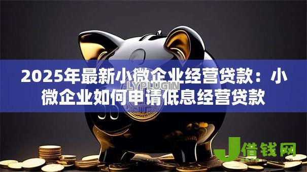 2025年最新小微企业经营贷款:小微企业如何申请低息经营贷款 2025年最新小微企业经营贷款:小微企业如何申请低息经营贷款