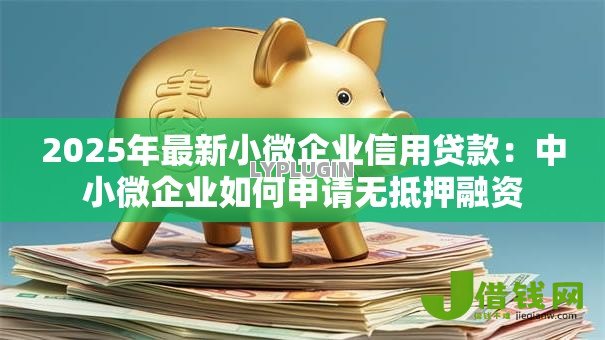 2025年最新小微企业信用贷款:中小微企业如何申请无抵押融资 2025年最新小微企业信用贷款:中小微企业如何申请无抵押融资