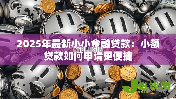 2025年最新小小金融贷款:小额贷款如何申请更便捷 2025年最新小小金融贷款:小额贷款如何申请更便捷
