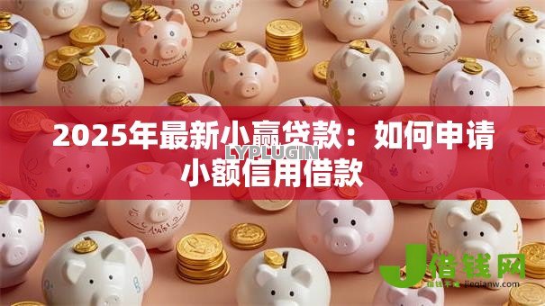 2025年最新小赢贷款:如何申请小额信用借款 2025年最新小赢贷款:如何申请小额信用借款