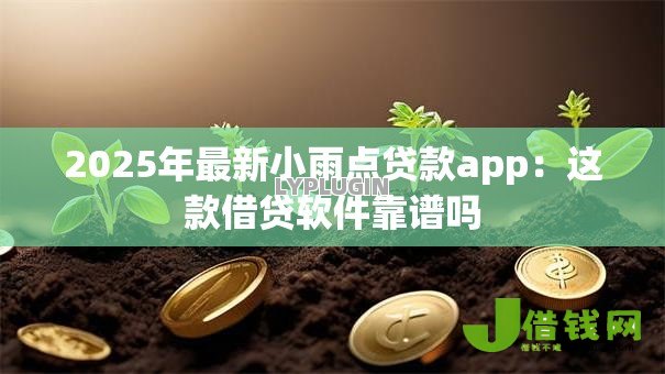 2025年最新小雨点贷款app：这款借贷软件靠谱吗