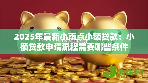 2025年最新小雨点小额贷款：小额贷款申请流程需要哪些条件